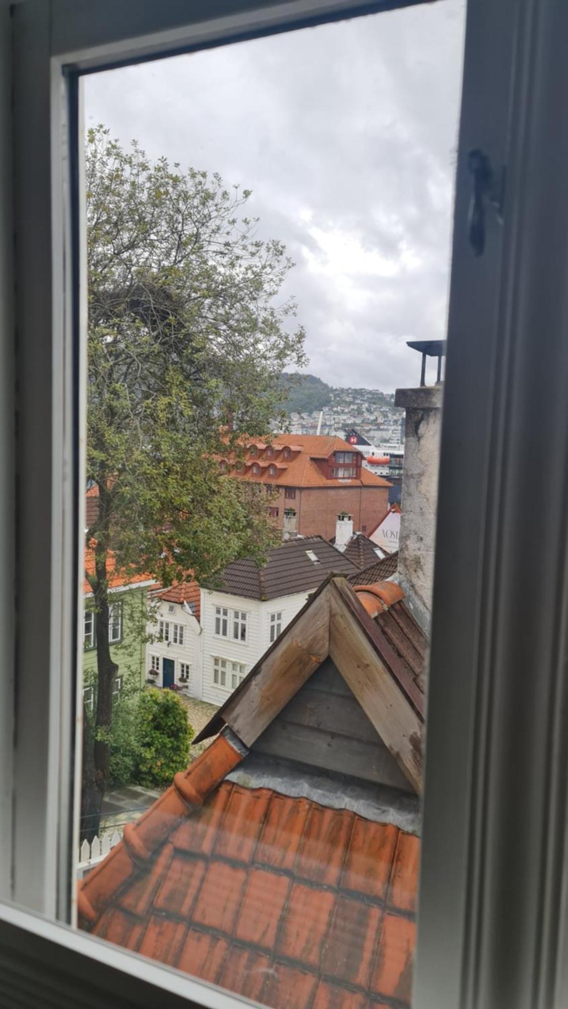 Amunds Apartment برغن المظهر الخارجي الصورة